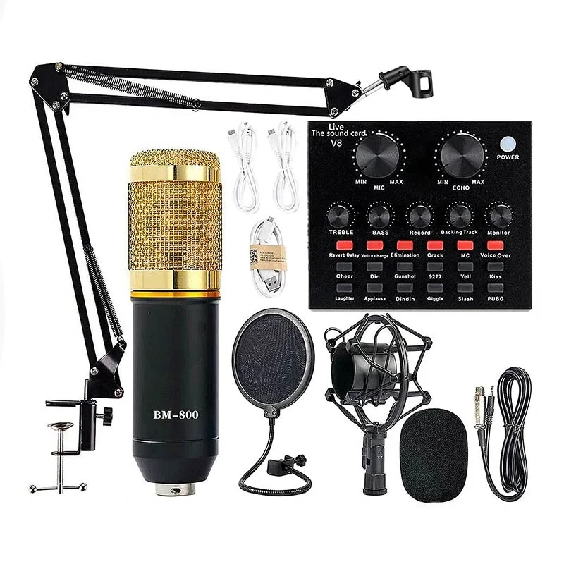 BM800 Microphone Kit